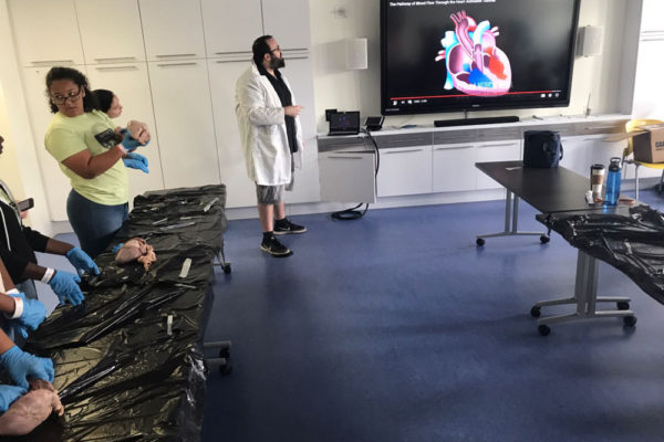 Heart Dissection Workshop at Frost Museum 47