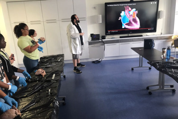 Heart Dissection Workshop at Frost Museum 48