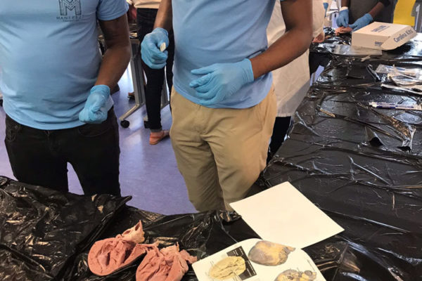 Heart Dissection Workshop at Frost Museum 5