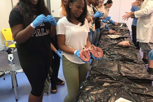 Heart Dissection Workshop at Frost Museum 6