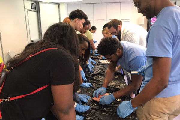 Heart Dissection Workshop at Frost Museum 7