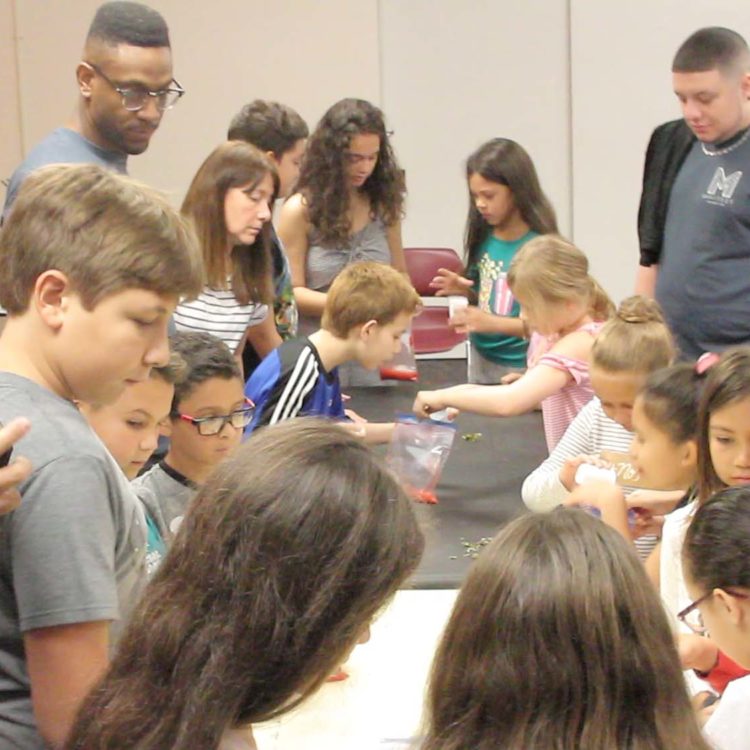 MVI_2827 DNA Extraction at Miami Lakes Library