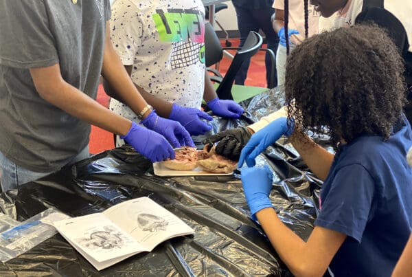 - Manifezt Foundation STEM Workshop at Larcenia Bullard Plaza11 19 2022 img41 - Heart Dissections at Larcenia Bullard Plaza | Manifezt Foundation