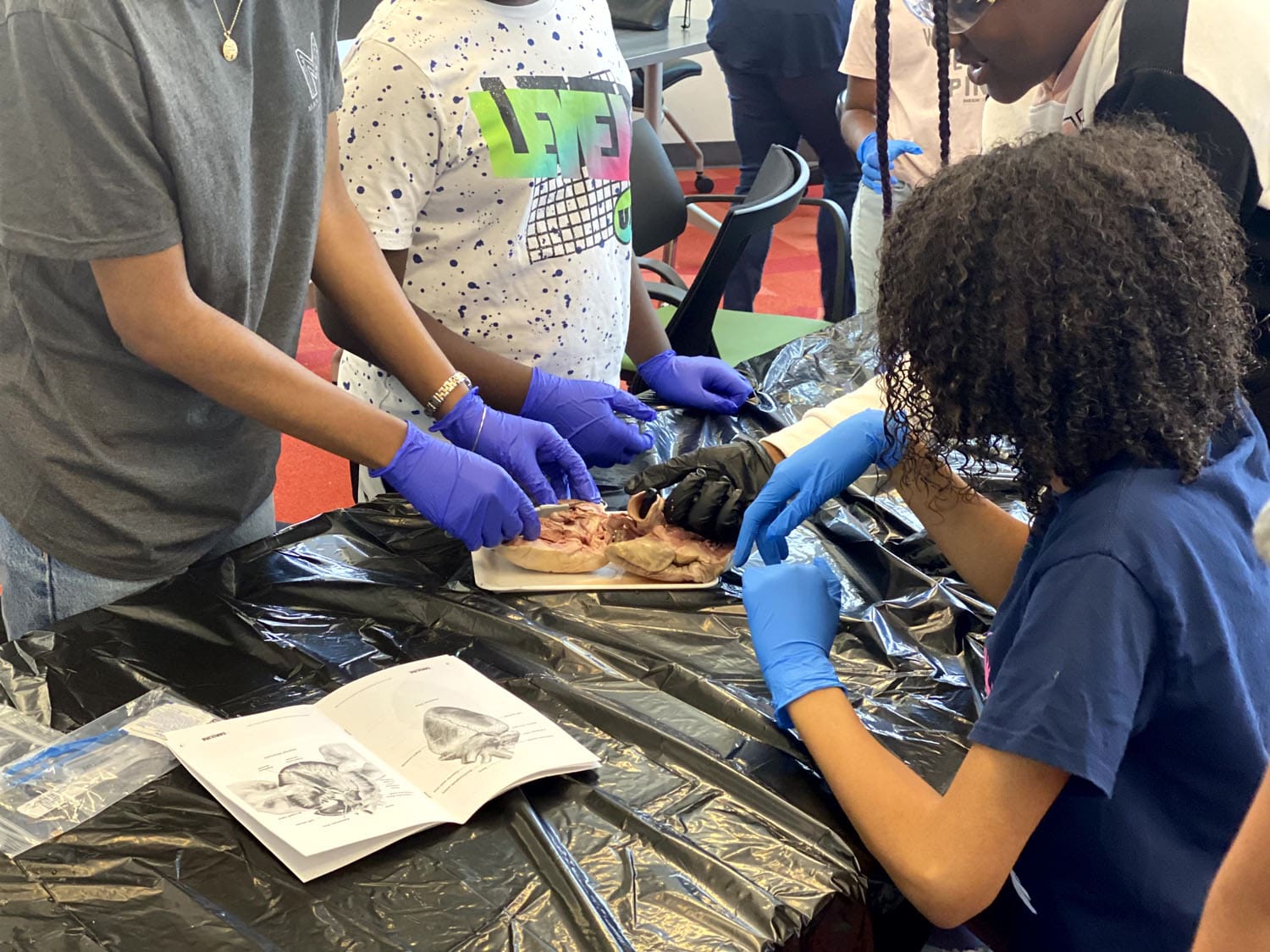 Community Impact