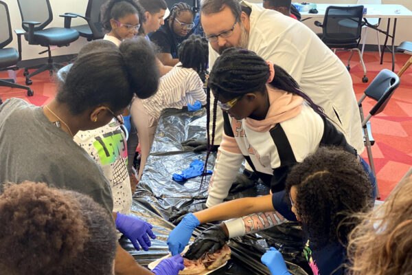 Manifezt Foundation STEM Workshop at Larcenia Bullard Plaza11-19-2022 img47 Heart Dissections at Larcenia Bullard Plaza