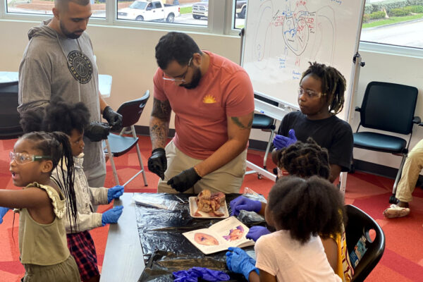Manifezt Foundation STEM Workshop at Larcenia Bullard Plaza11-19-2022 img50 Heart Dissections at Larcenia Bullard Plaza