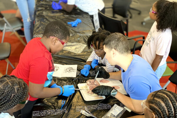 Manifezt Foundation STEM Workshop at Larcenia Bullard Plaza11-19-2022 img51 Heart Dissections at Larcenia Bullard Plaza