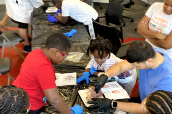 Manifezt Foundation STEM Workshop at Larcenia Bullard Plaza11-19-2022 img53 Heart Dissections at Larcenia Bullard Plaza
