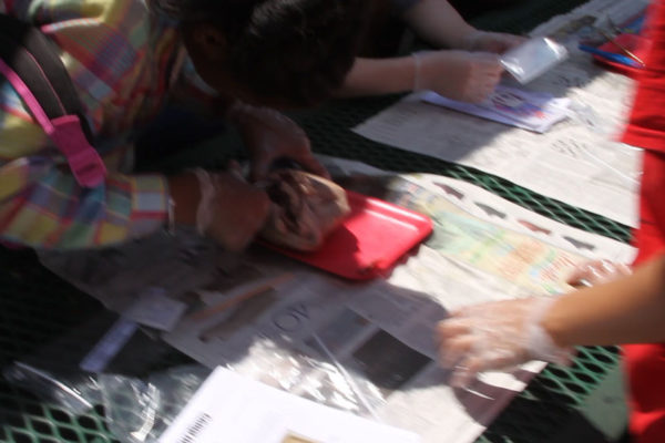 Shalom-Center-Youth-STEM-Saturday-14