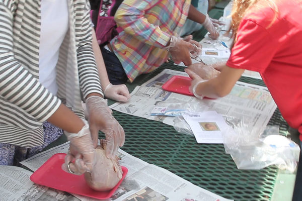 Shalom-Center-Youth-STEM-Saturday-8