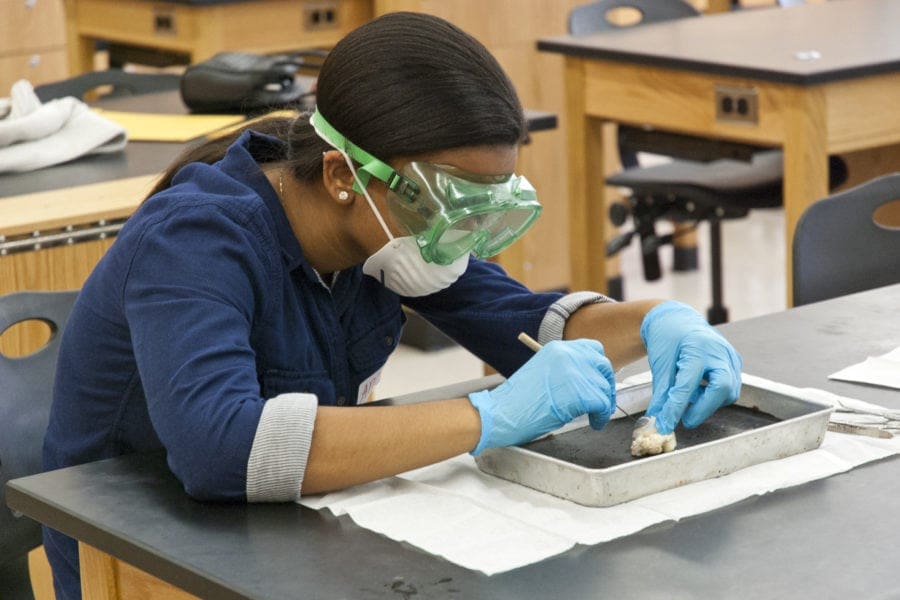 - Teen Girl Student Dissecting Animal Eye - Educating the Scientists of Tomorrow for the Eradication of Disease | Manifezt Foundation - Teen Girl Student Dissecting Animal Eye - Educating the Scientists of Tomorrow for the Eradication of Disease | Manifezt Foundation