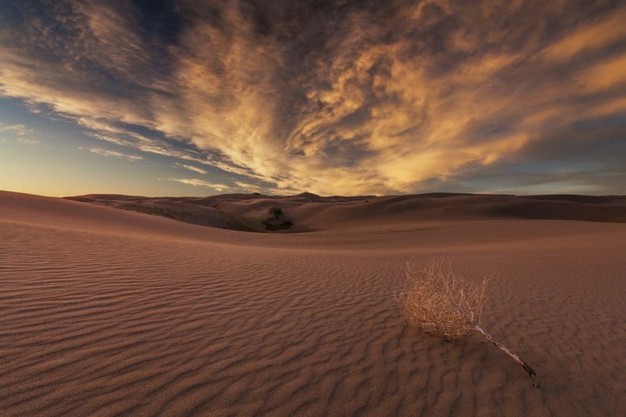 - beautiful views of the gobi desert mongolia - Genetic Solutions Discovered in Bacteria | Manifezt Foundation Beautiful views of the Gobi desert. Mongolia