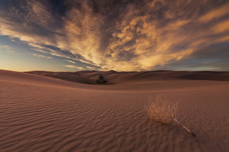 Beautiful views of the Gobi desert. Mongolia Genetic Solutions Discovered in Bacteria