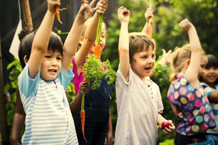 STEM - group of kindergarten kids learning gardening 4FAB829 - The Connection Between Autism and STEM Fields | Manifezt Foundation
