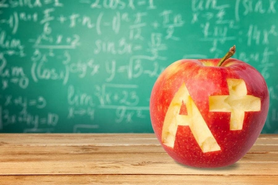STEM - privatepublic - Public Schools vs Private Schools | Manifezt Foundation